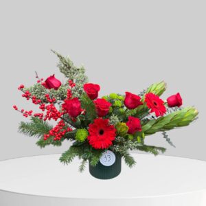 Red & Green Season